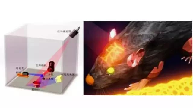 1673586305109665.jpg 生命科学.jpg