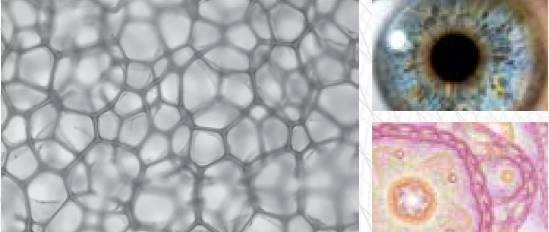 1673586603182618.jpg 眼科.jpg