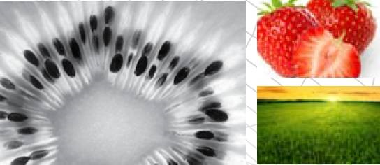 1673586850184966.jpg 农业.jpg