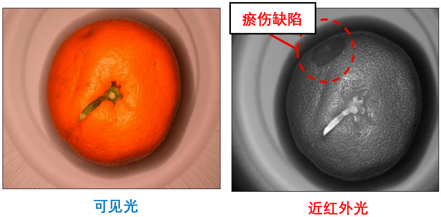 1673599927128952.png 55.png